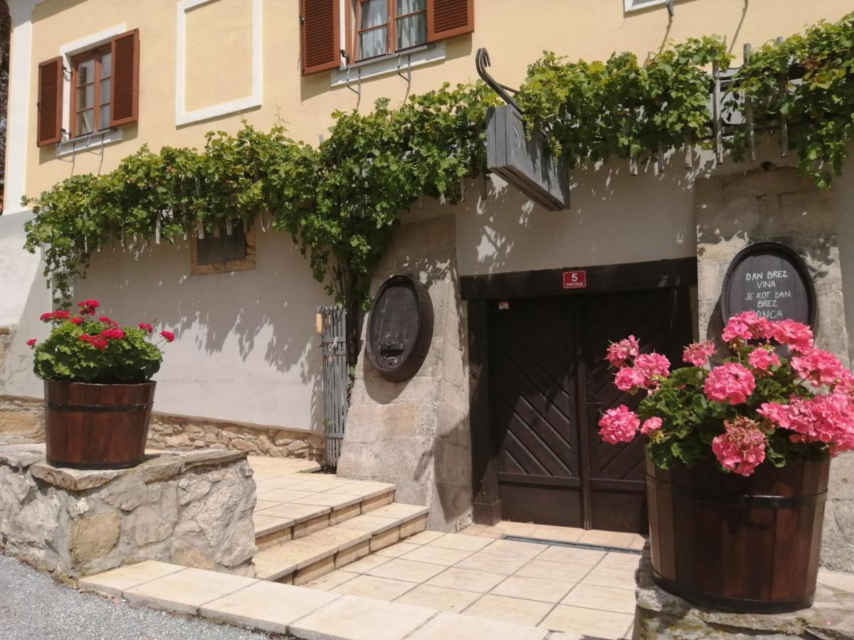 Ivanjkovci Apartmaji Svetinje 아파트 외부 사진