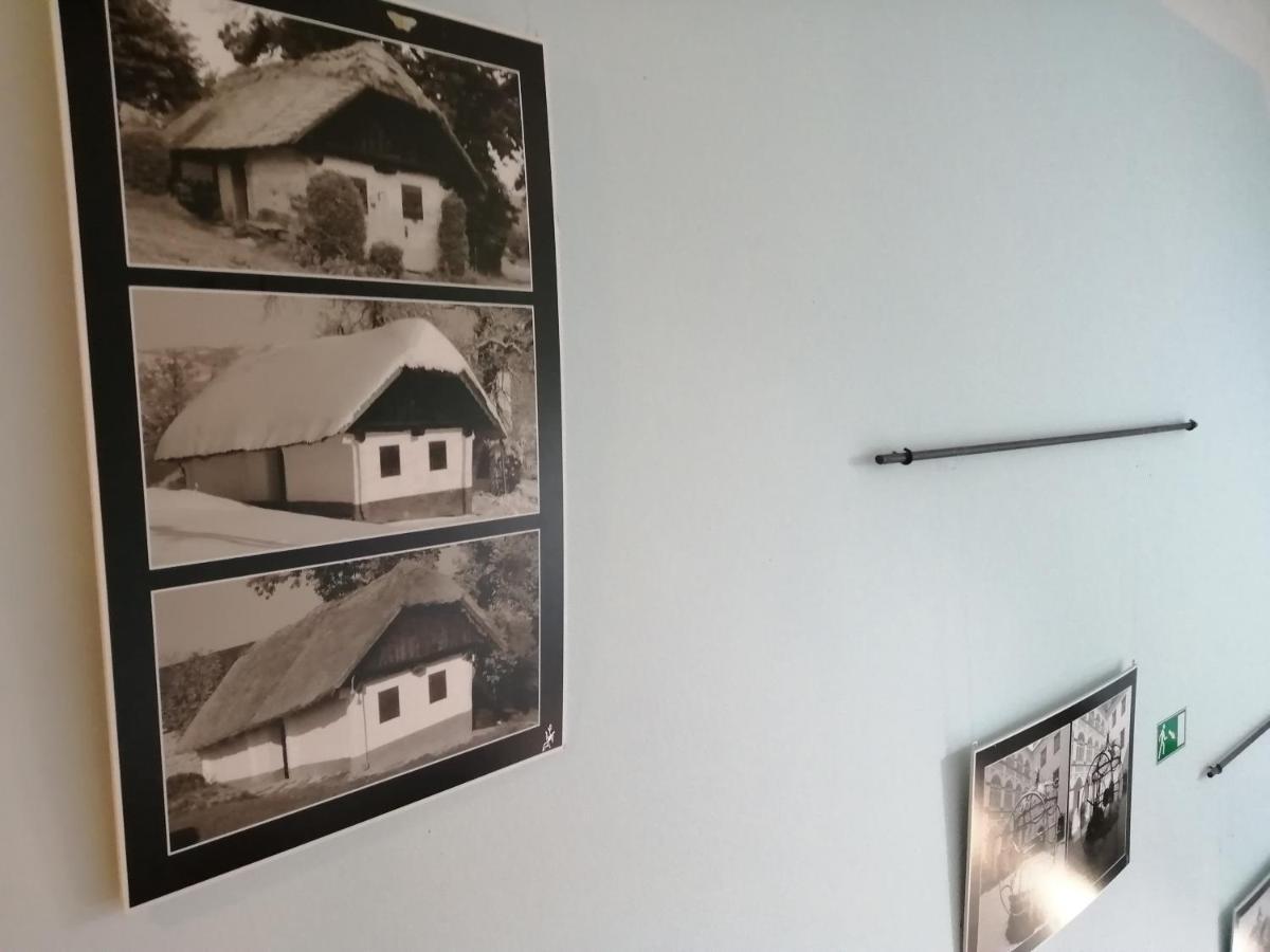 Ivanjkovci Apartmaji Svetinje 아파트 외부 사진