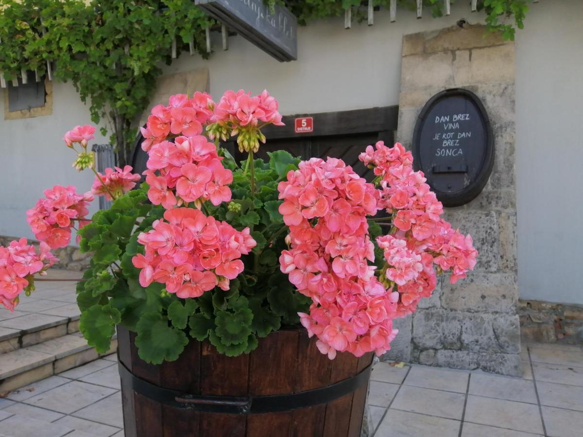 Ivanjkovci Apartmaji Svetinje 아파트 외부 사진